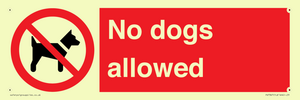 No dogs allowed
